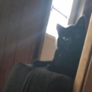 Meet your Posher, Mikey